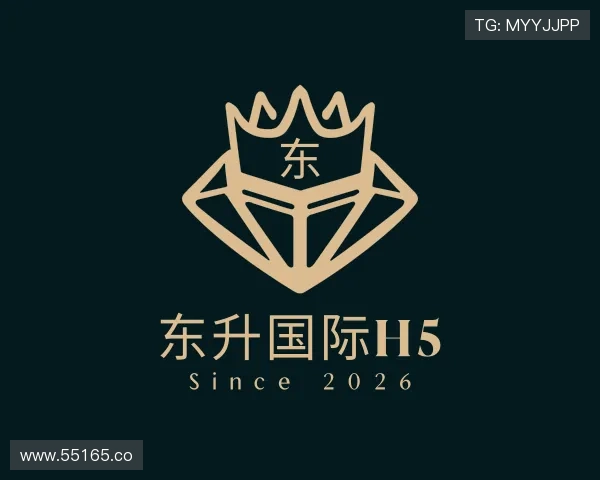 了解东升国际h5